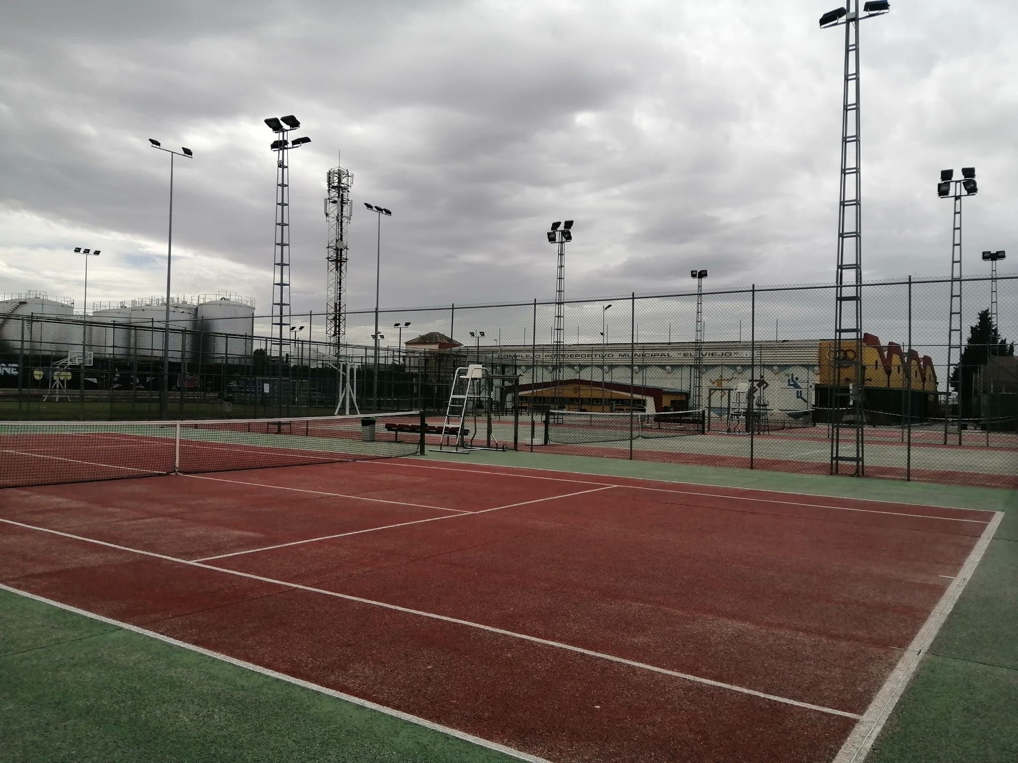 Tenis